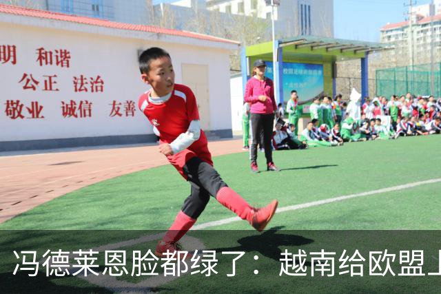 冯德莱恩脸都绿了：越南给欧盟上了一课：什么叫 “中国力量”！