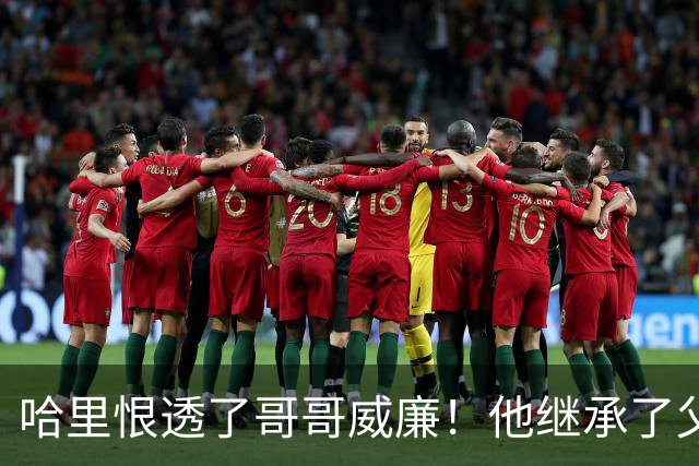 哈里恨透了哥哥威廉！他继承了父亲的王位不说，还继承了母亲的脸