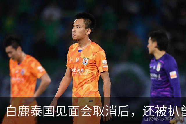 白鹿泰国见面会取消后，还被扒曾为缅北拍宣传片，知情人爆料更多