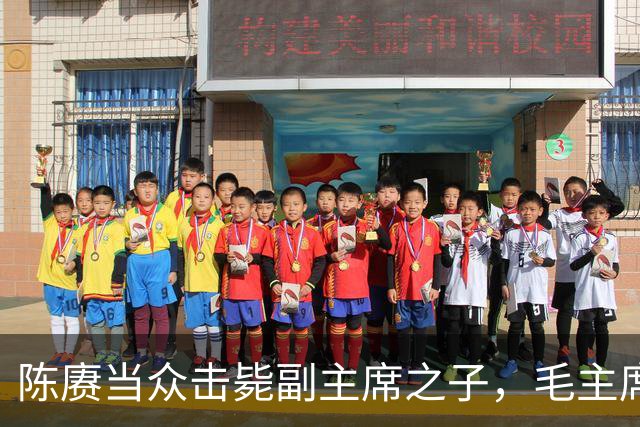 陈赓当众击毙副主席之子，毛主席一言不发，就送了一箱东西